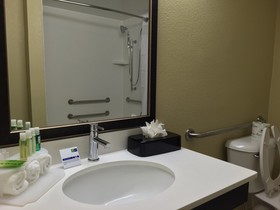 Holiday Inn Express Chicago NW - Arlington Heights