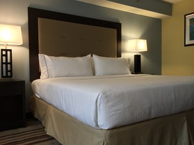 Holiday Inn Express Chicago NW - Arlington Heights