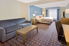 Comfort Inn & Suites Arlington Heights - Schaumburg