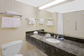 Comfort Inn & Suites Arlington Heights - Schaumburg