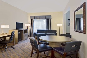 Comfort Inn & Suites Arlington Heights - Schaumburg
