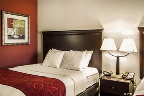 Comfort Suites Bloomington I-55 And I-74