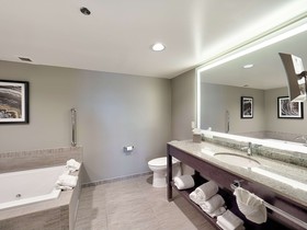DoubleTree by Hilton Hotel Bloomington