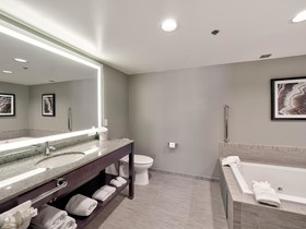 DoubleTree by Hilton Hotel Bloomington