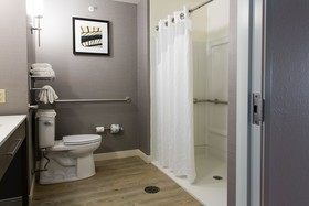 Holiday Inn & Suites Bloomington-Airport