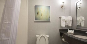 Hilton Garden Inn Bolingbrook I-55