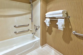 Holiday Inn Hotel & Suites Bolingbrook