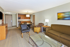 Holiday Inn Hotel & Suites Bolingbrook