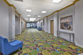 Holiday Inn Hotel & Suites Bolingbrook