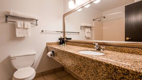 Best Western Inn & Suites - Midway Airport