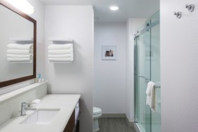 Hampton Inn and Suites Chicago-Burr Ridge