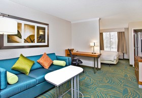 Springhill Suites Chicago Southwest at Burr Ridge/Hinsdale