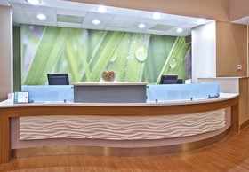 Springhill Suites Chicago Southwest at Burr Ridge/Hinsdale