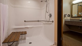 Best Western Saluki Inn