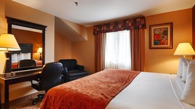 Best Western Saluki Inn