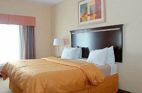 Comfort Inn & Suites Carbondale University Area