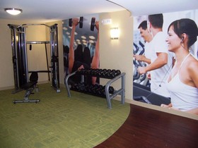 Holiday Inn & Suites Chicago-Carol Stream (Wheaton)