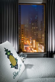 Staypineapple, An Iconic Hotel, The Loop