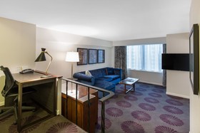 The Chicago Hotel Collection: Magnificent Mile