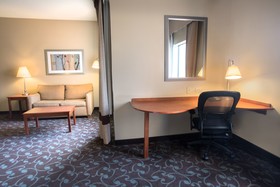 Hampton Inn & Suites Chicago Deer Park
