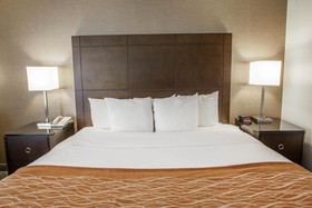 Best Western Chicago - Downers Grove