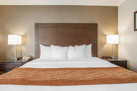 Best Western Chicago - Downers Grove