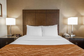 Best Western Chicago - Downers Grove