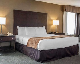 Best Western Chicago - Downers Grove