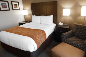 Best Western Chicago - Downers Grove