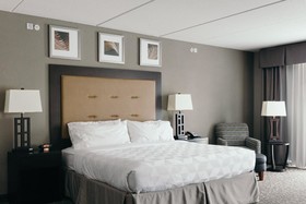 Holiday Inn Hotel & Suites East Peoria