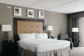Holiday Inn Hotel & Suites East Peoria