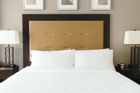 Holiday Inn Hotel & Suites East Peoria