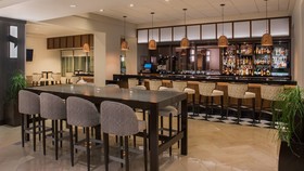 Sheraton Suites Chicago Elk Grove