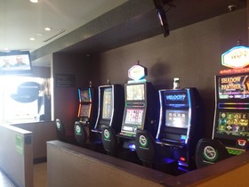 Wyndham Garden Elk Grove Village/O'Hare