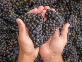 Galena Cellars Vineyard & Winery