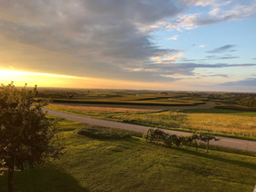 Galena Cellars Vineyard & Winery