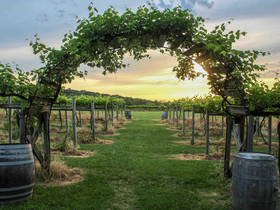 Galena Cellars Vineyard & Winery
