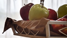 Best Western Geneseo Inn