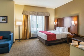 Comfort Suites Grayslake near Libertyville North