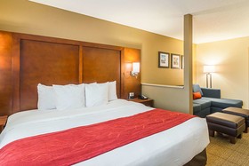 Comfort Suites Grayslake near Libertyville North