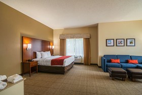 Comfort Suites Grayslake near Libertyville North