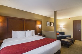 Comfort Suites Grayslake near Libertyville North
