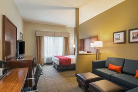 Comfort Suites Grayslake near Libertyville North
