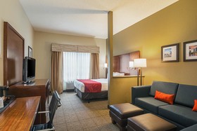Comfort Suites Grayslake near Libertyville North