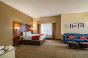 Comfort Suites Grayslake near Libertyville North