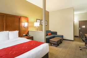 Comfort Suites Grayslake near Libertyville North
