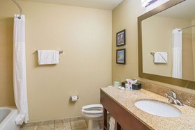 Comfort Suites Grayslake near Libertyville North