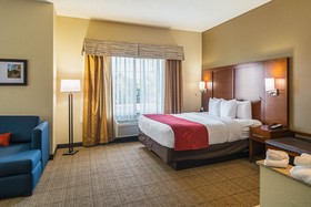 Comfort Suites Grayslake near Libertyville North