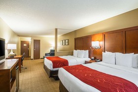 Comfort Suites Grayslake near Libertyville North