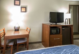 Comfort Inn Gurnee - Mall Area